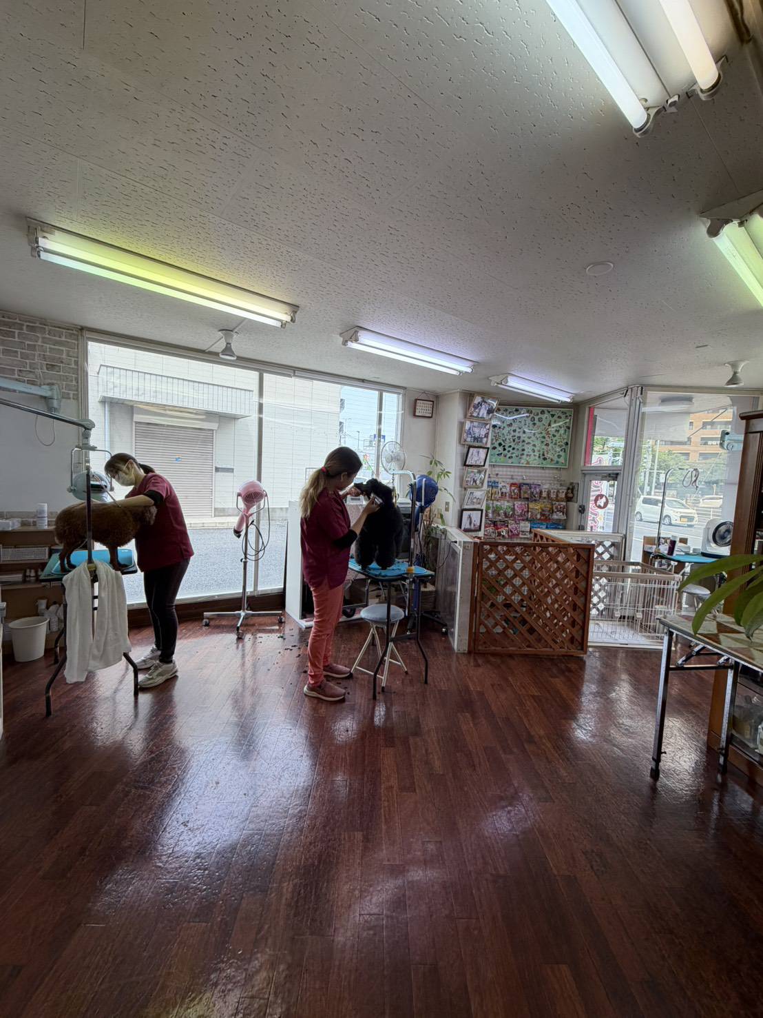 トリミングスタジオ どうぶつClub 千葉柏店